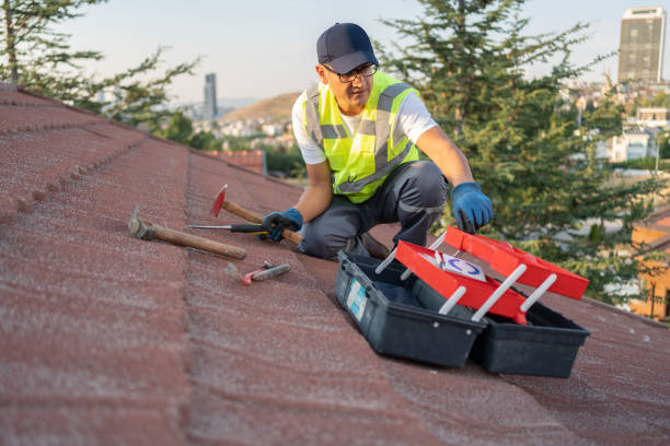 Best Storm Damage Siding Repair  in Rural Hill, TN